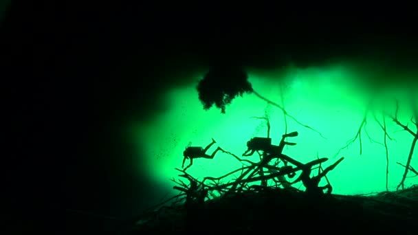 Silhouette Divers Cenote — Stok video