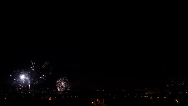 Fireworks New Year Celebration — 비디오