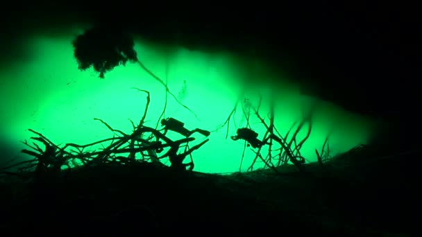 Silhouetted Divers Mouth Cenote — Stockvideo