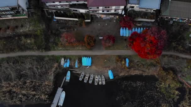 Downward Facing Aerial Fly Boats Bright Red Maple Tree Next — ストック動画