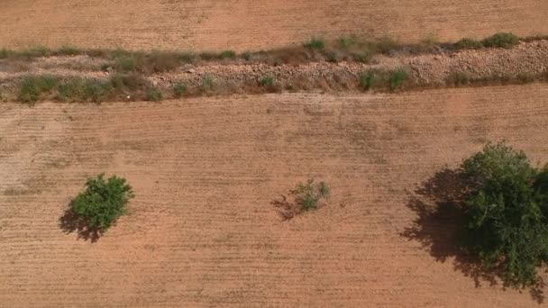 Aerial Pan Countryside — Video Stock