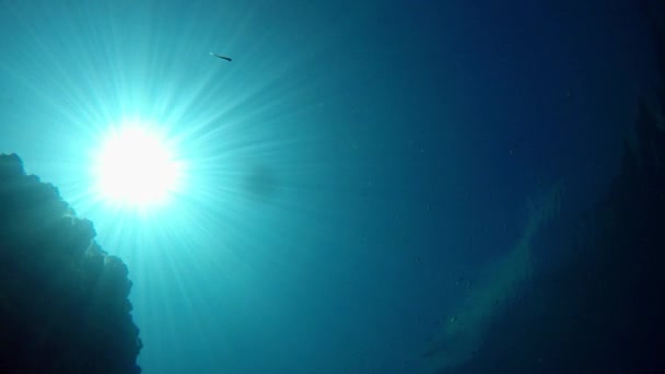 Sun Shot Bottom Lake Clear Transparent Blue Water — Stock video