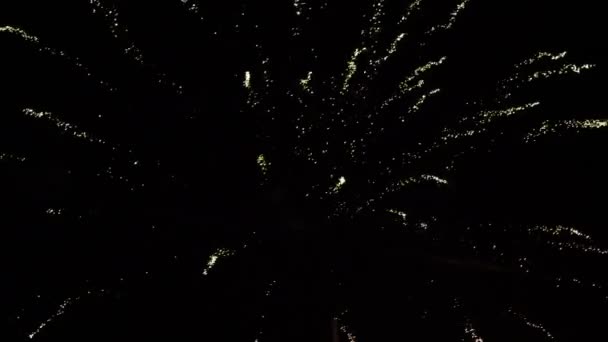 Fireworks Sky Night New Year Christmas — Stockvideo