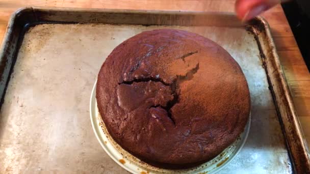 Dusting Delicious Dark Paleo Gluten Free Chocolate Cake Cocoa Powder — Vídeo de Stock