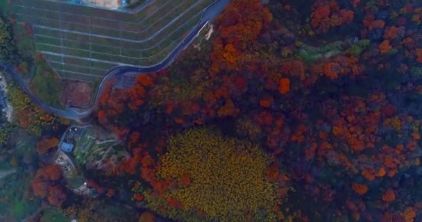 Cinematic Japan Landscape Shot Dji Phantom4Pro Hiroshima — Stockvideo