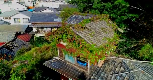 Cinematic Japan Landscape Shot Dji Phantom4Pro Hiroshima — Stockvideo