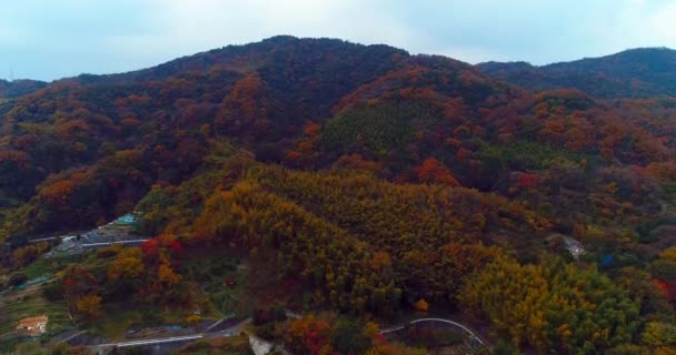 Cinematic Japan Landscape Shot Dji Phantom4Pro Hiroshima — Stockvideo