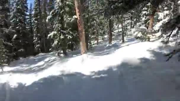 Snowboarding Skiing Colorado — Vídeo de Stock