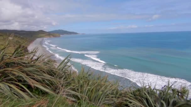 Wide Shot Costline New Zealand Plants Flowers Foreground Background Waves — Stok video