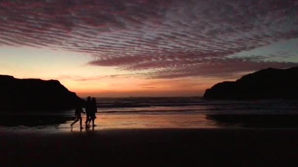 Pacific Northwest Bandon Beach Southern Oregon Beautiful Sunset Silhouette People — Vídeo de stock