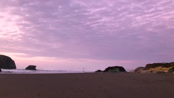 People Beach Dog Sunset Oregon Coast — 비디오