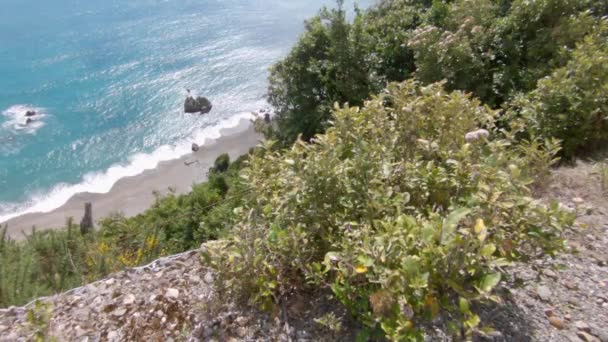 Steady Shot Hill Beautiful Coastline Little Rocks Beach New Zealand — Video Stock