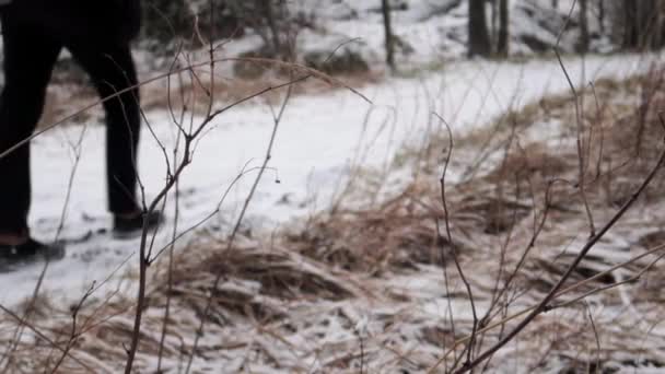 Mysterious Hiker Passing Forest Path Covered Snow — Stockvideo