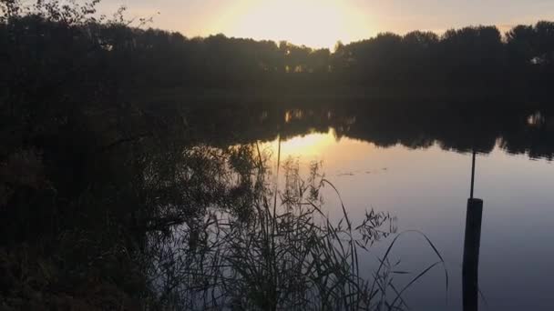 Sun Rising Next Calm Lake — Vídeo de Stock
