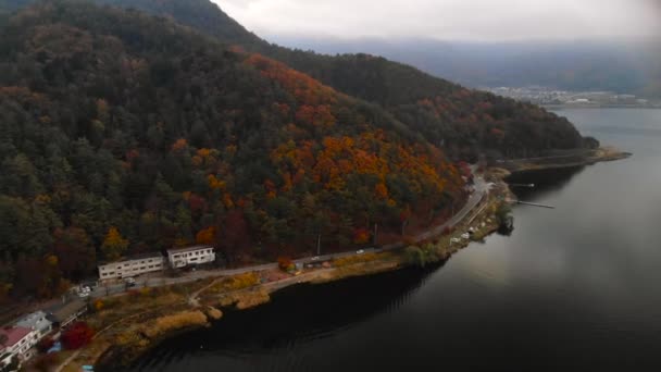 Aerial Cars Driving Road Next Autumn Colored Trees Lake — Video