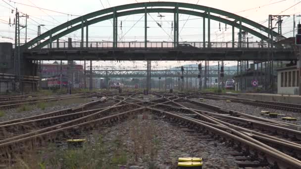 Crossing Train Tracks Train Station Cars Driving Bridge Background — Stockvideo