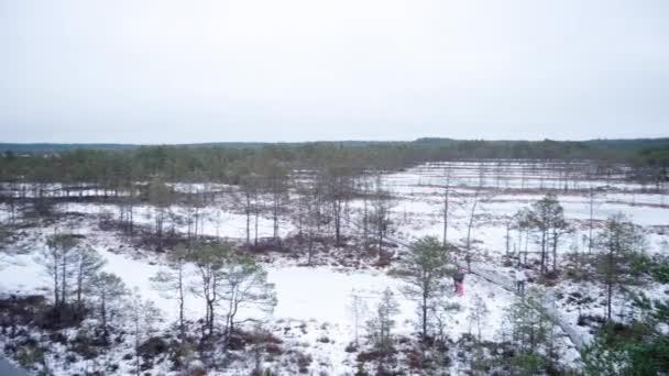 Wide Pan Shot Viru Bog Observation Tower Winter Families Children — Vídeo de Stock