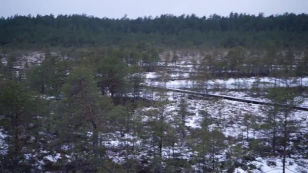 View Viru Bog Observation Tower Winter Unrecognizable Family Walking Icy — Wideo stockowe