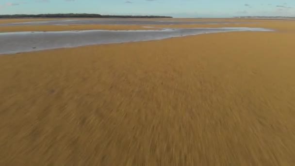 Fast Low Flying Aerial Shot Sand Water Inlet Victoria Australia — 图库视频影像