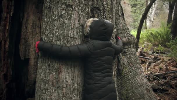 Woman Huging Tree — Video Stock