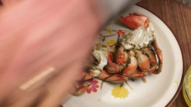 Male Hands Seen Cracking Freshly Cooked Dungeness Crab Dinner Plate — Vídeo de stock