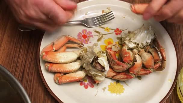 Male Hands Cracking Delicious Fresh Dungeness Crab Dinner Dipping Warm — Stockvideo