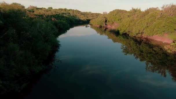 Дрони Летять Над Річкою Сільській Місцевості Ліс Росте Берегах Річки — стокове відео
