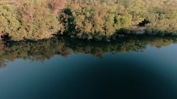 Дрони Летять Над Річкою Сільській Місцевості Ліс Росте Берегах Річки — стокове відео