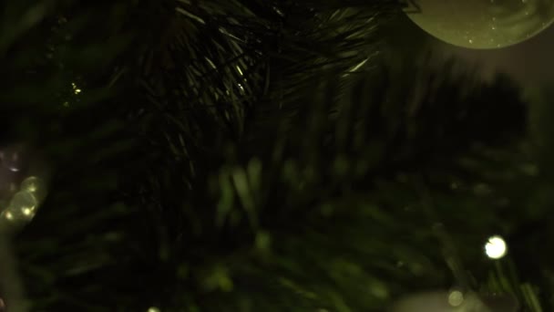 Christmas Tree Christmas Eve Recorded Sony Iii 30Fps — Stock video