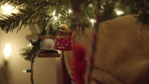 Close Dolly Back Christmas Decorations Hanging Christmas Tree Candy Cane — Videoclip de stoc