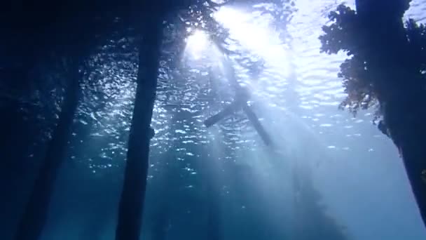 Wide Angle Video Capturing Light Beams Coming Wooden Jetty Tropical — Wideo stockowe