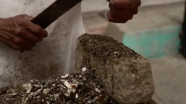 Seaside Σεφ Ετοιμάζει Και Καθαρίζει Φρέσκα Θαλασσινά Και Στρείδια — Αρχείο Βίντεο