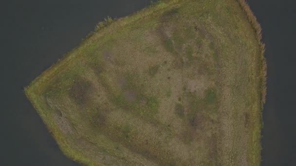 Маленький Остров Хойсдене Нидерланды Выстрел — стоковое видео