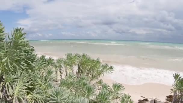 Windy Day Beautiful Tropical Beach Footage Slow Motion — Stockvideo