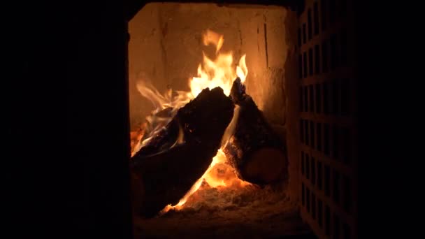 Firewood Burning Tile Stove Cockle — Stockvideo