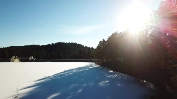 Sun Coming Trees Colorado Mountain Frozen Lake — Vídeo de stock