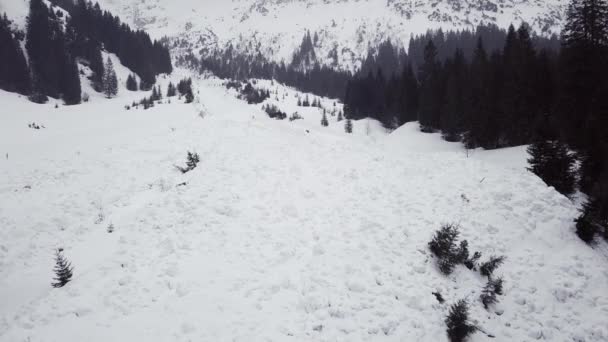 Avalanche Runout Zone Alps Austria Kleinwalsertal Κακοκαιρία — Αρχείο Βίντεο