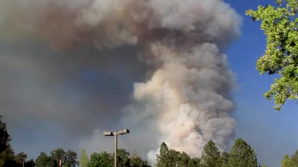 Ominous Plume Smoke Rising Sky Wildfire California — Stock videók