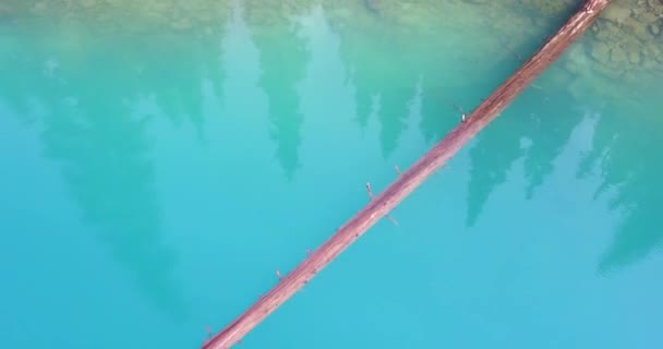 Aerial Shot Drone Rising Blue Lake Tree Joffrey Lake Canada — Stok Video