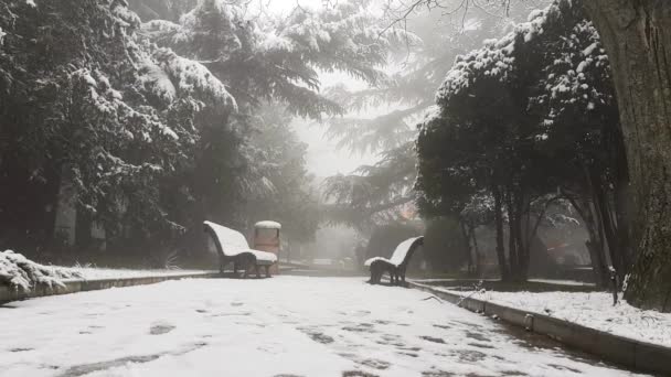 Heavy Snowfall Park Benches Surrounded Trees Winter Mtatsminda Park Tbilisi — Wideo stockowe