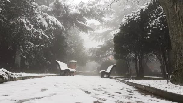 Heavy Snowfall Park Benches Surrounded Trees Winter Mtatsminda Park Tbilisi — Stockvideo