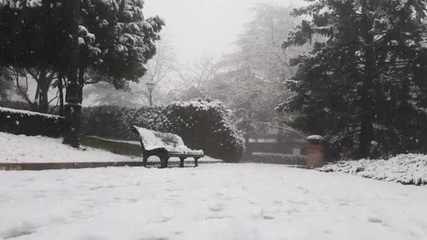 Snowfall Park Bench Surrounded Trees Winter Mtatsminda Park Tbilisi Georgia — Vídeo de Stock