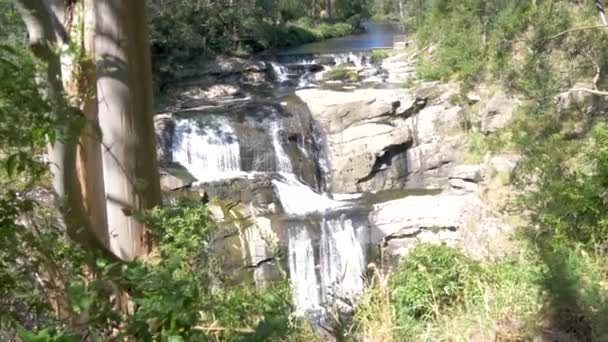Agnes Falls Waterfall South Gippsland Australia — Vídeo de stock