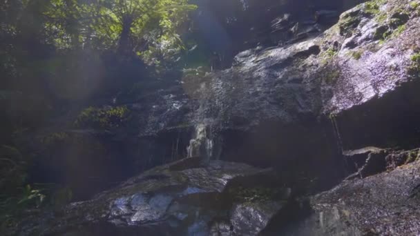 Крупный План Небольшого Лесного Водопада Австралийской Виктории — стоковое видео