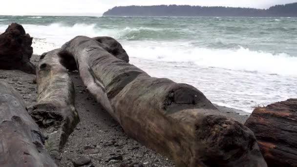Durva Hullámok Puget Sound Washington Állam Usa Roll Fröccsenés Ellen — Stock videók
