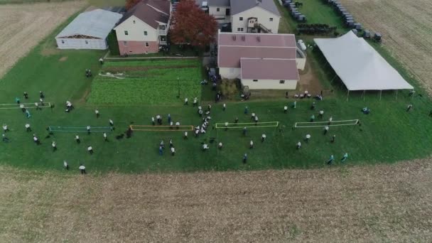 Ariel View Amish Wedding Autumn Day Buggies Amish Playing Volley — стокове відео