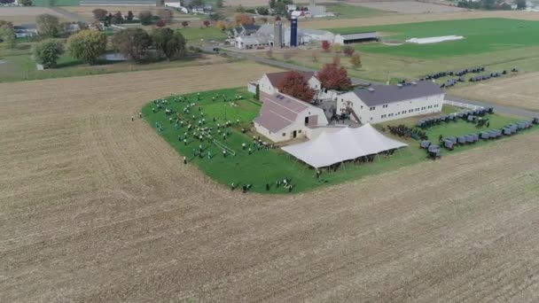 Ariel Veduta Matrimonio Amish Giorno Autunno Con Buggies Amish Giocare — Video Stock