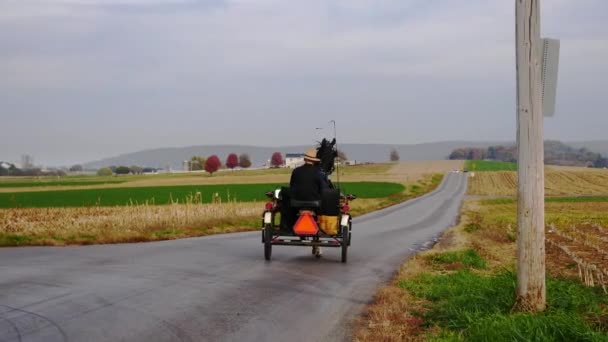 秋の日にオープンバギーに乗るアミッシュマン — ストック動画