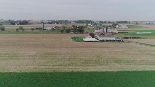 Ariel View Amish Wedding Autumn Day Buggies Amish Jogando Volley — Vídeo de Stock