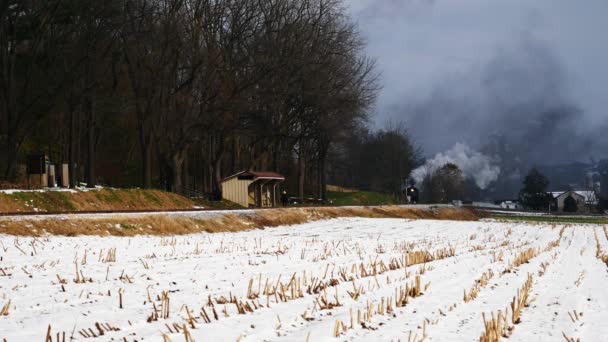 Moteur Vapeur Voitures Tourisme Soufflant Long Des Terres Agricoles Amish — Video